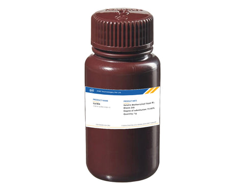 Gelatin Methacryloyl