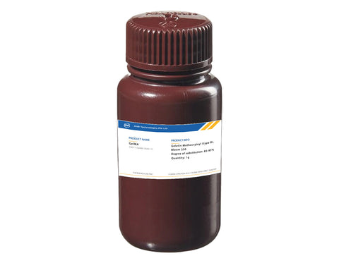 Gelatin Methacryloyl